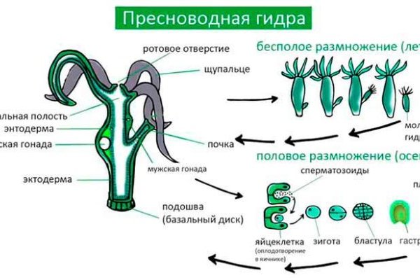 Кракен тг маркетплейс