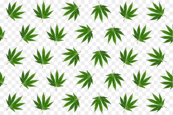 Кракен магазин kr2web in тор